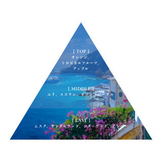 【7月21日(火)~ 順次発送】海辺の小説 リトル